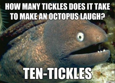 Bad-Joke-Eel-Ticklish-Octopus.jpg