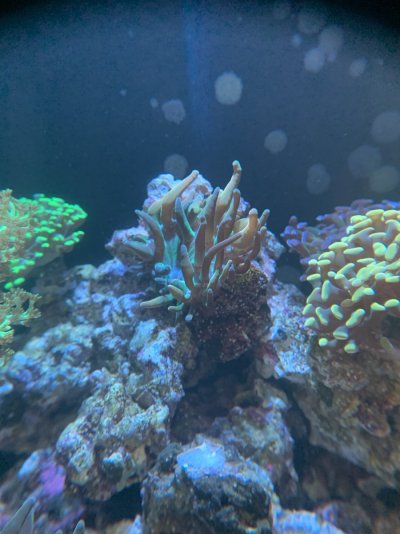 IMG_4626.jpeg