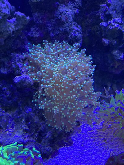 IMG_7380.jpeg