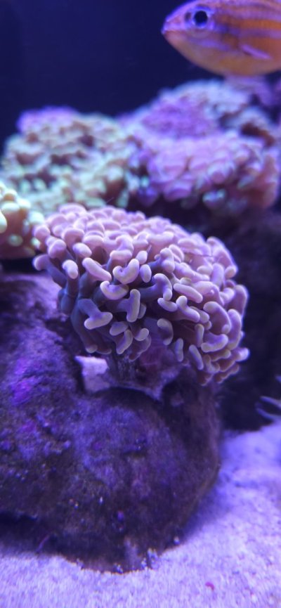 20230815_183536.jpg