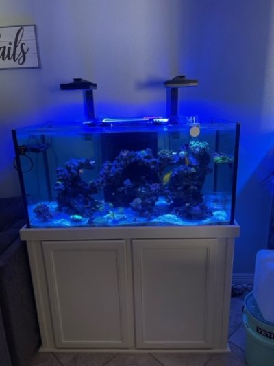 120gal tank.jpg