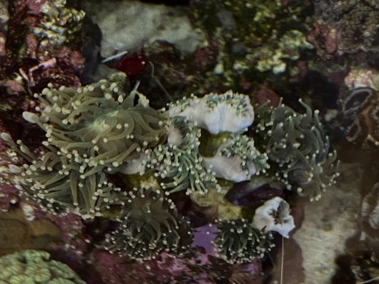 IMG-4041.jpg IMG-4041.jpg