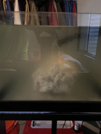 B2B1D09C-6126-423F-BF1C-B969639848D7.jpeg