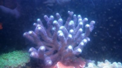 20160714_203704.jpg