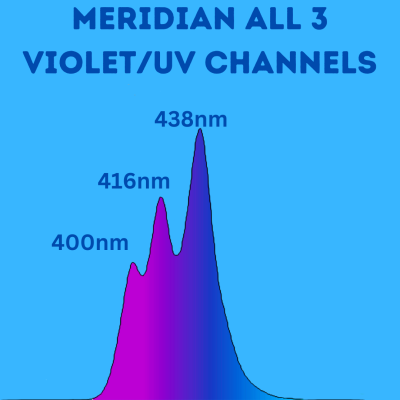 Meridian all 3 VioletUV Channels.png