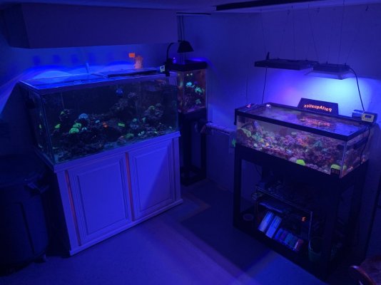 Sam's Tank