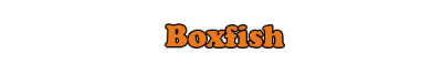 boxfish.png