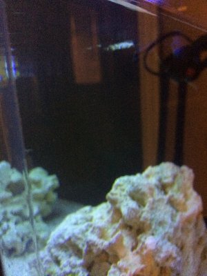image.jpeg image.jpeg