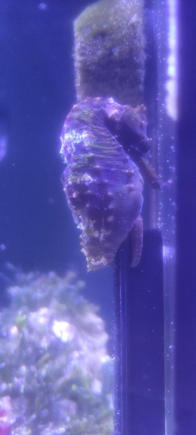 20231024_201634.jpg