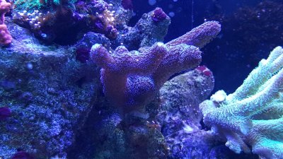 20160703_184620.jpg