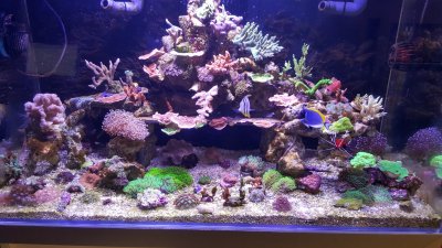 20160731_135025.jpg