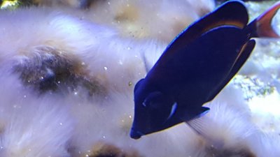 20160811_162119.jpg