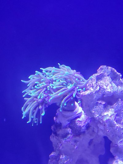 20231202_205835.jpg