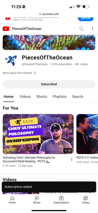 PiecesOfTheOcean - YouTube.jpeg