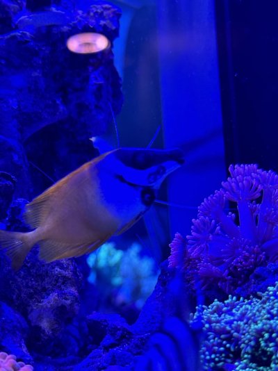 IMG_7087.jpeg