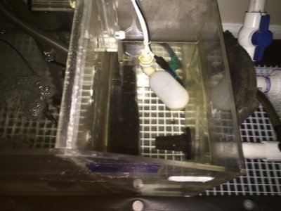 image.jpeg image.jpeg