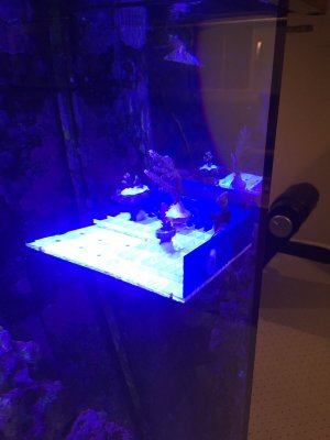 image.jpeg image.jpeg
