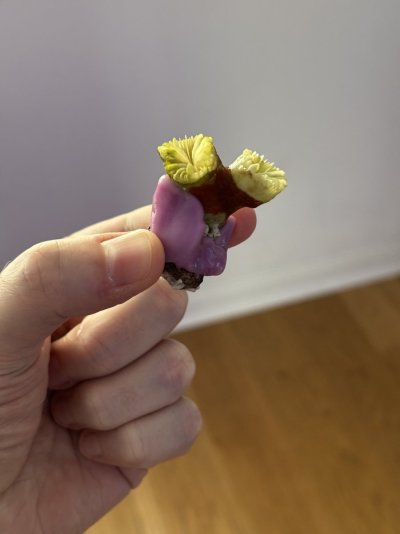 IMG_8908.jpeg IMG_8908.jpeg