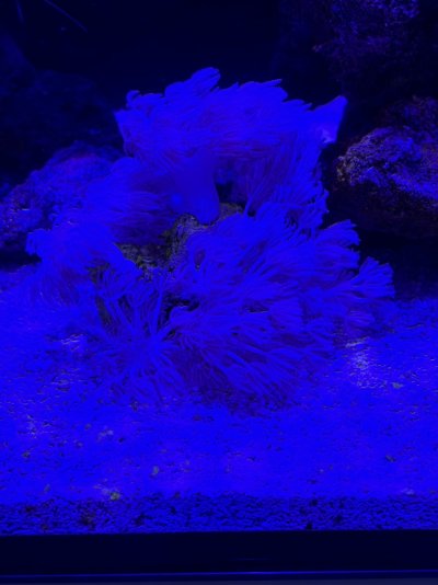 IMG_8907.jpeg IMG_8907.jpeg