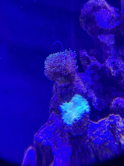 IMG_8903.jpeg IMG_8903.jpeg