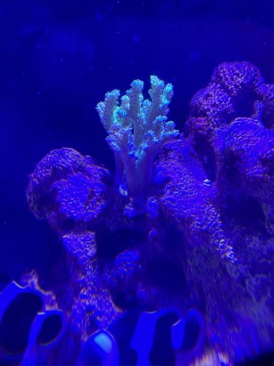 IMG_8902.jpeg IMG_8902.jpeg