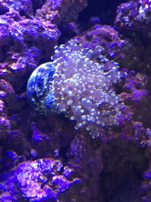 IMG_0654.JPG