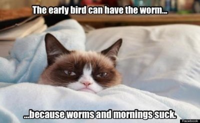 worms mornings.jpg