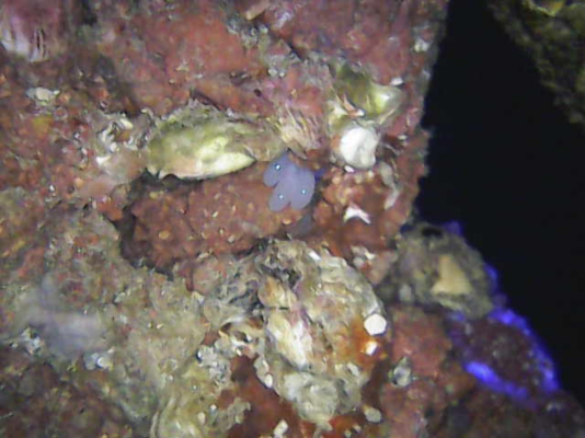 Image_2024-01-29 22_27_23_930.png Image_2024-01-29 22_27_23_930.png