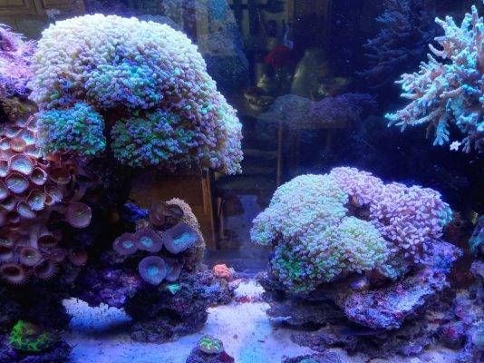 reef- sept-2023.jpg