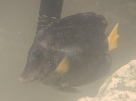 20240210_220613.jpg