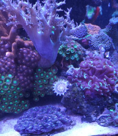 20231129_112400.jpg