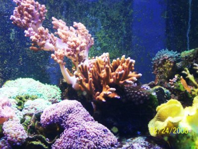 100_0712.jpg