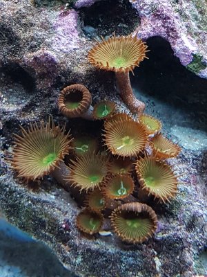 20160911_194832.jpg