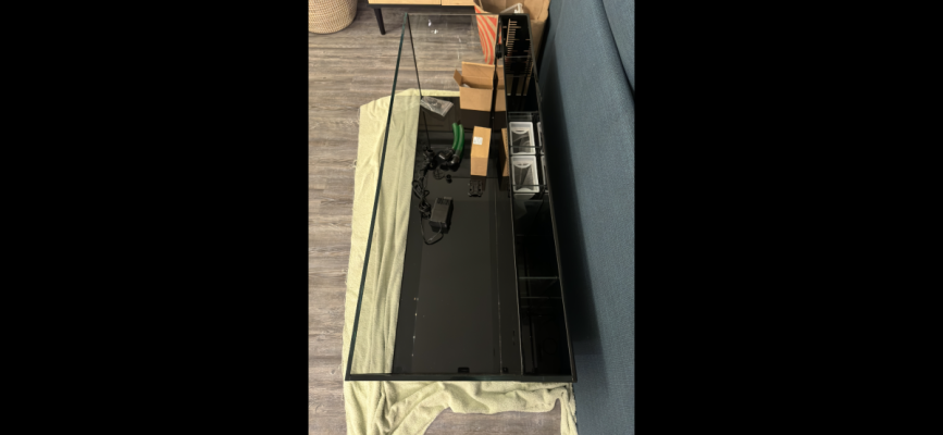 IMG_6516.png IMG_6516.png