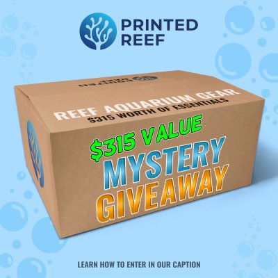 $315-Mystery-Reef-Aquarium-Essentials-Giveaway.jpg