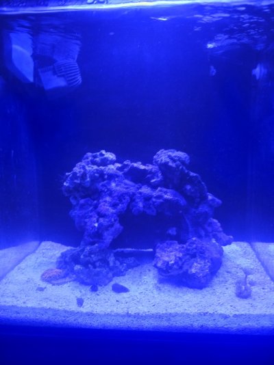 IM 15g Nuvo Cube