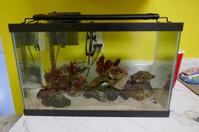 P1010121.JPG