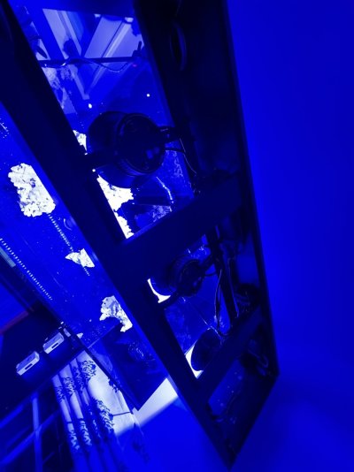IMG_0074.jpeg