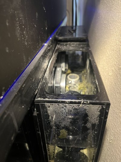 IMG_8330.jpeg IMG_8330.jpeg