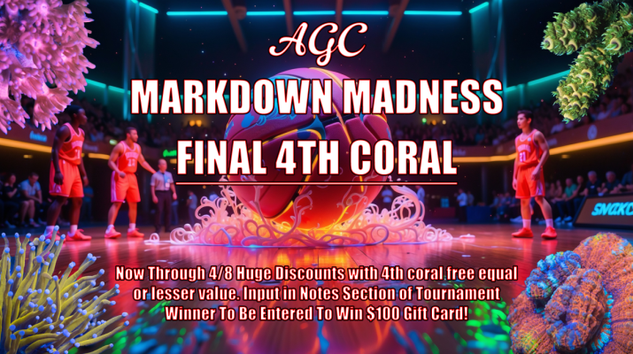 March Madness  Final 4th Coral 1920x1080.png
