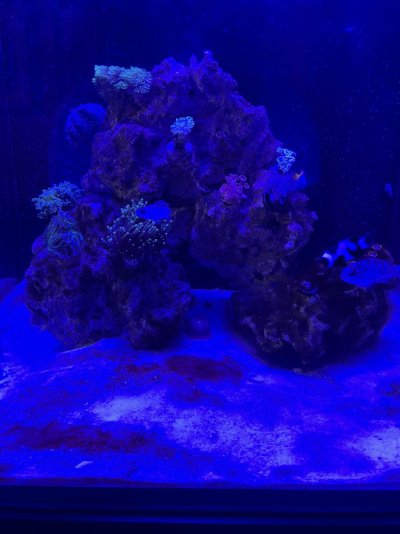 IMG_9894.jpeg