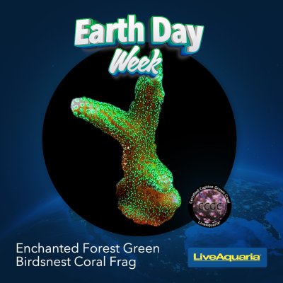 042124_SOCIAL_Earth Day Week ITEMS SLIDS4.jpg