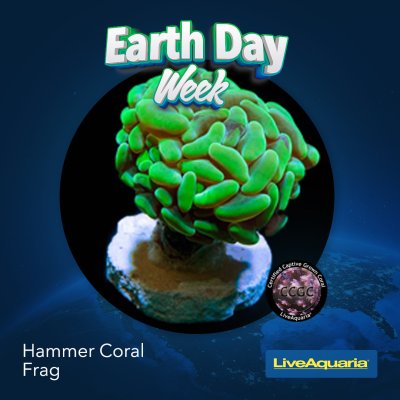 042124_SOCIAL_Earth Day Week ITEMS SLIDS2.jpg