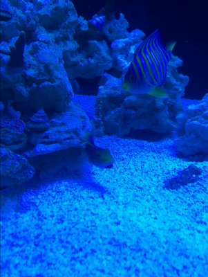 IMG_1586.JPG