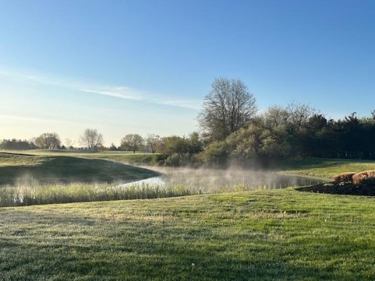 Mist over golf course.jpg