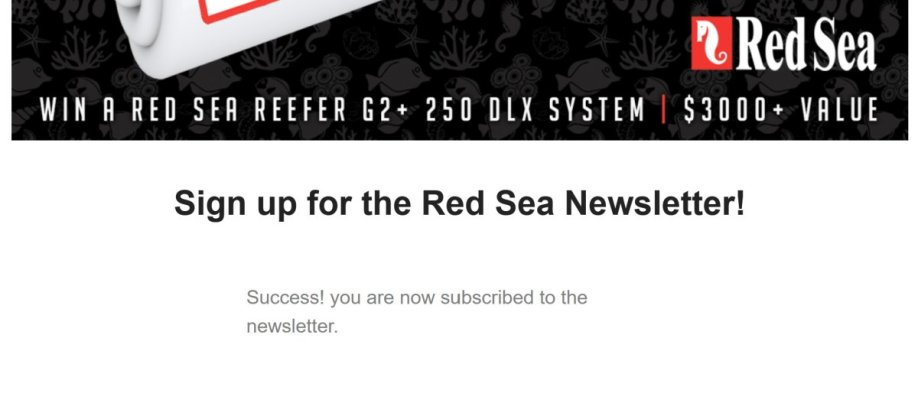 Red Sea.jpg