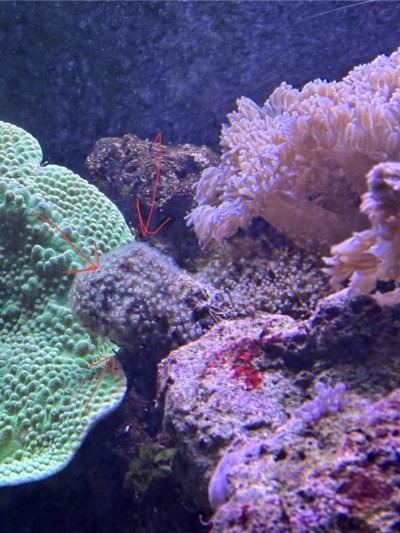 IMG_2036.jpeg IMG_2036.jpeg