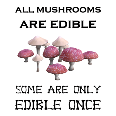 All-Mushrooms-are-Edible.png
