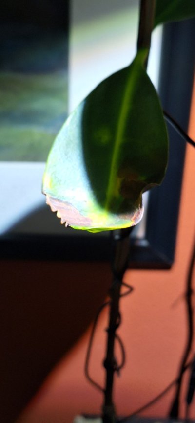 20240527_000838.jpg