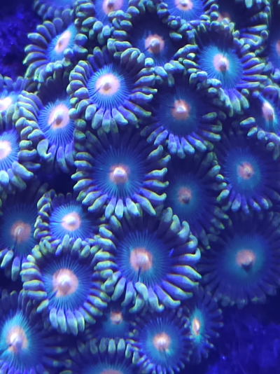 1717280013215.png